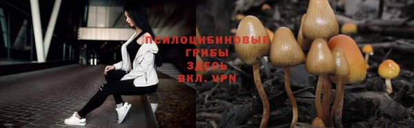 дурь Беломорск