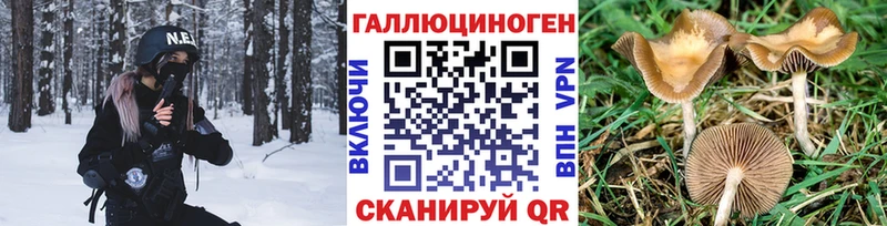 Галлюциногенные грибы Cubensis Нижние Серги